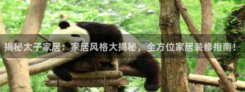 ug环球买代理