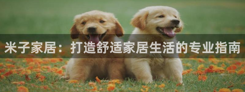 ug环球视讯官网网址