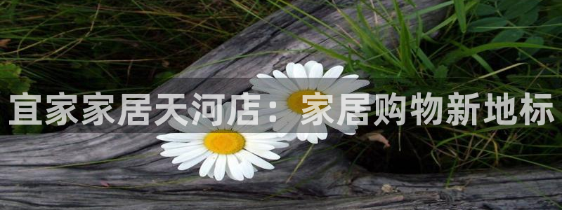 UG环球视讯下载