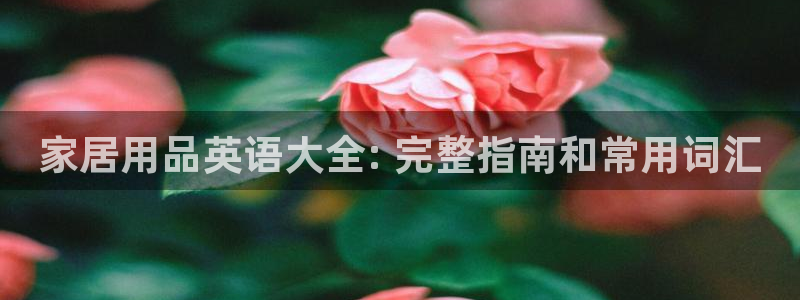 ug环球会员充值