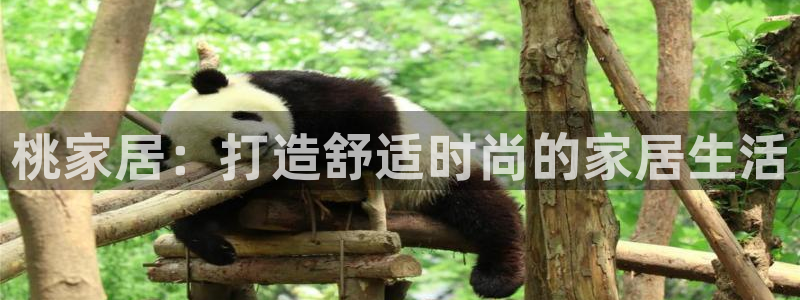 ug环球官网会员