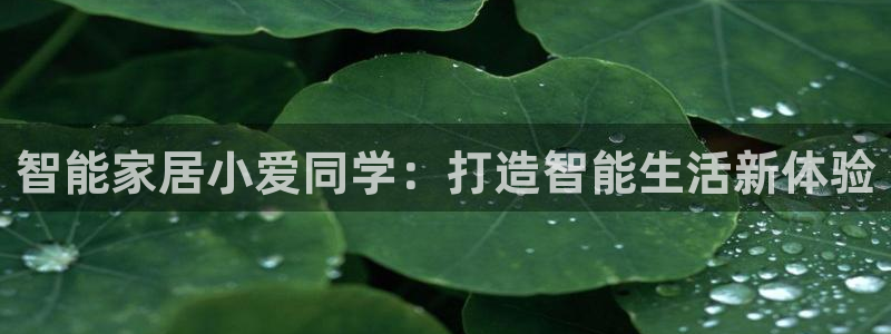 ug环球正网开户