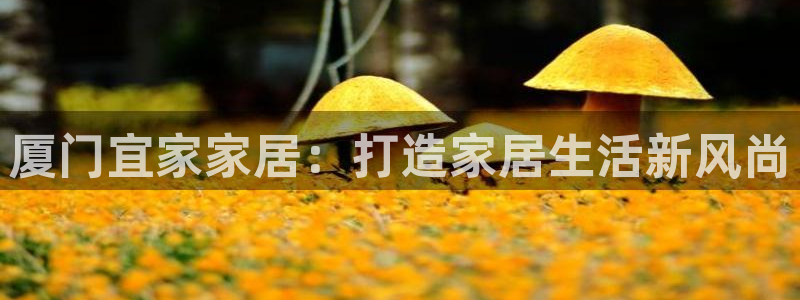 UG环球代理