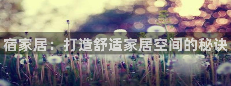 UG环球代理合作