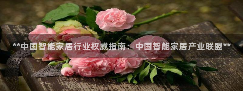 ug环球会员官方客服电话