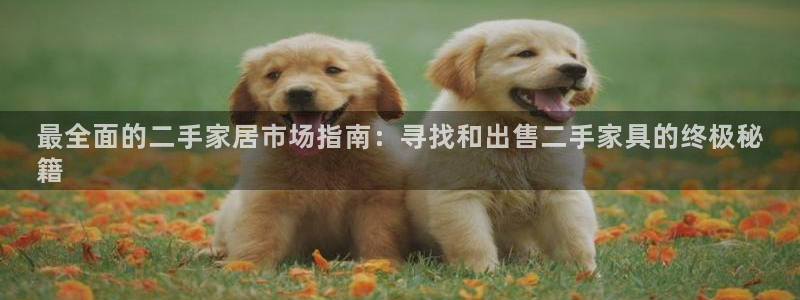 ug环球代理平台官网