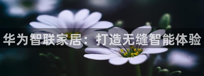 ug环球代理平台官网