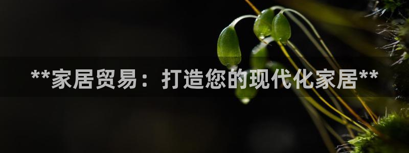 UG环球视讯