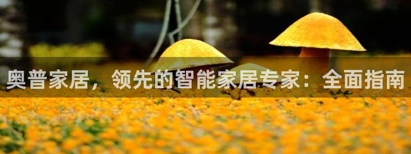 ug环球会员开户