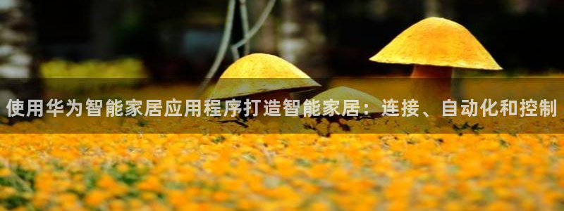 UG环球视讯