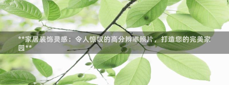 UG环球官方网