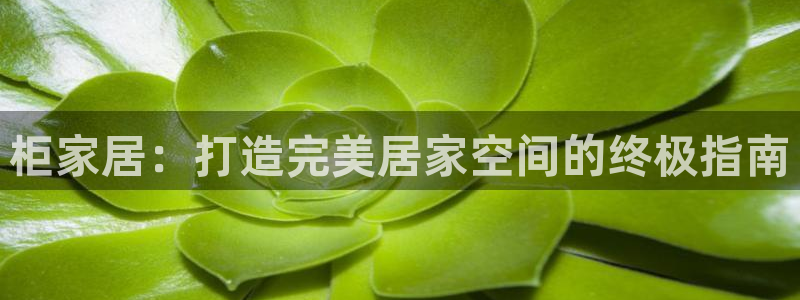 UG环球会员官方