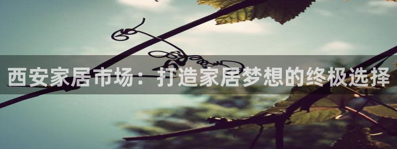 ug环球国际买分