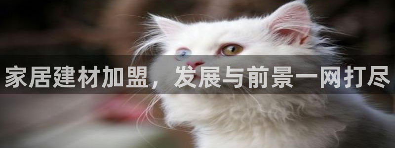 UG环球官网