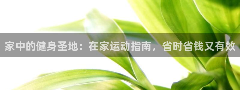 ug环球会员登陆