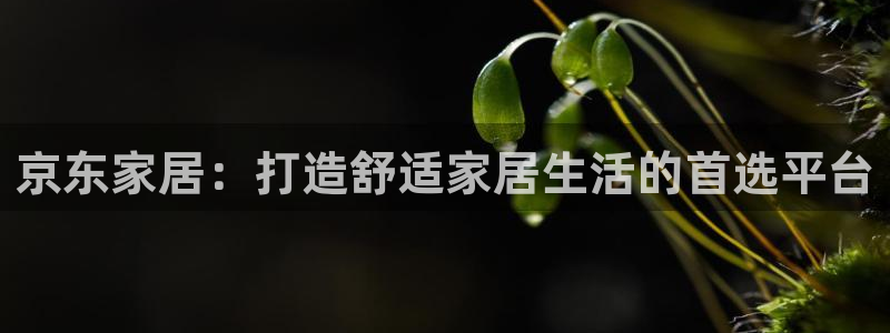 ug环球视讯手机版官网