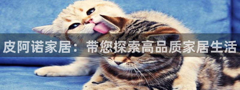 ug环球网