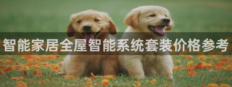 环球ug死网