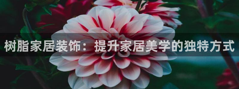 ug环球会员官方客服电话