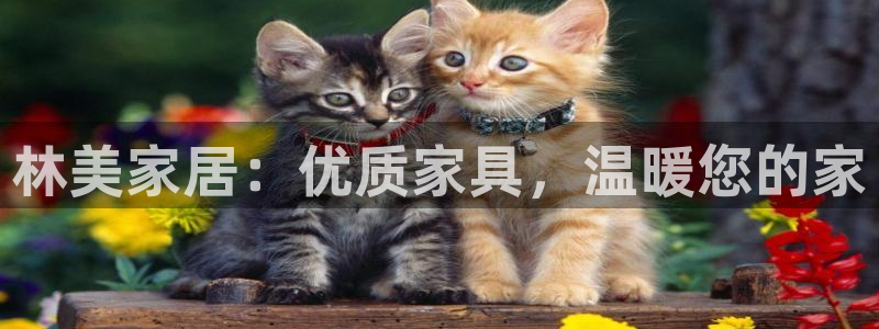 ug环球官网代理