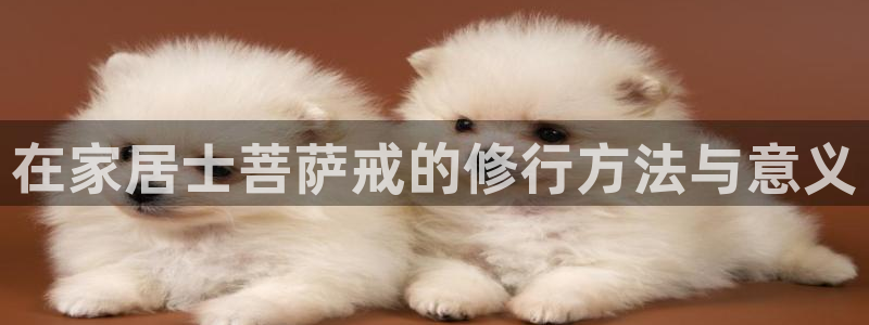 ug环球包杀网一比一