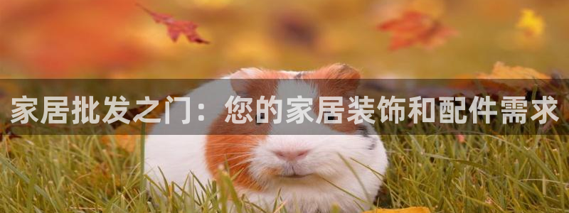 ug环球视讯手机版官网