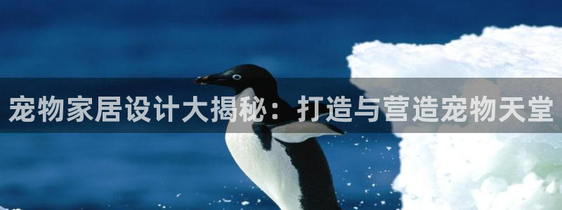 UG环球会员官方