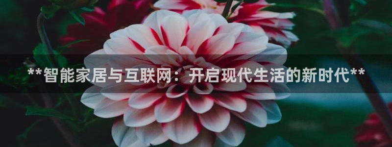ug环球正网