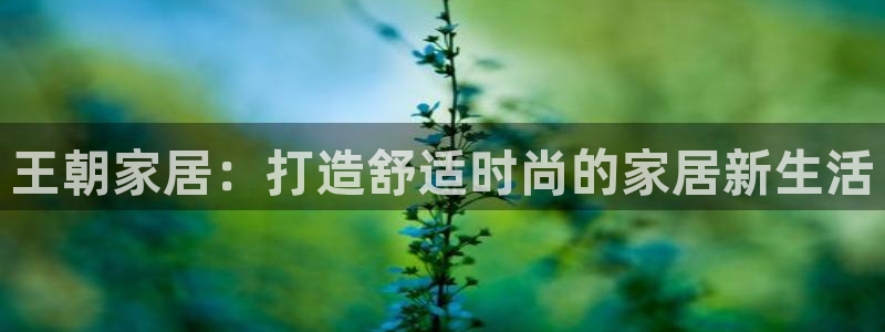 ug环球国际买分
