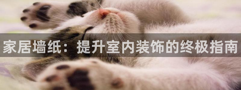 UG环球假网合作