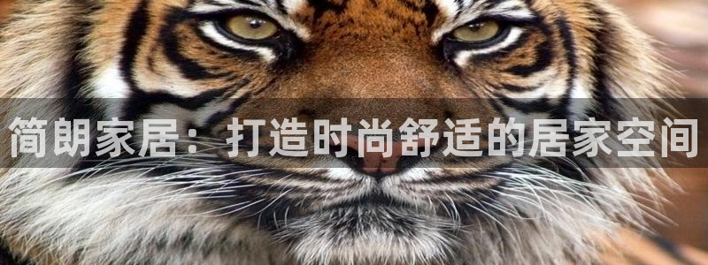 ug环球买分卖分