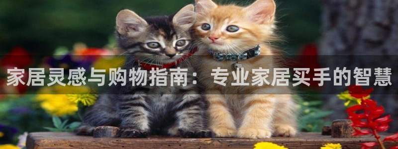 ug环球凯发