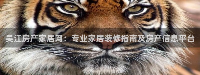 ug环球找唯xkk 908