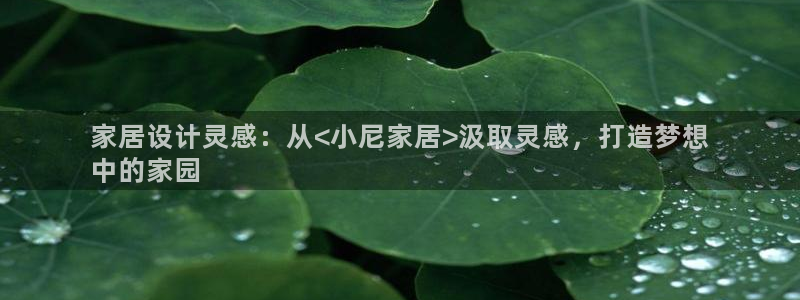 ug环球买分卖分
