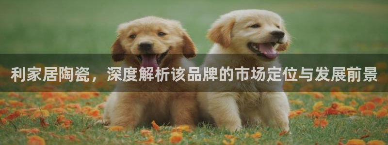ug环球会员官网：利家居陶瓷，深度解析该