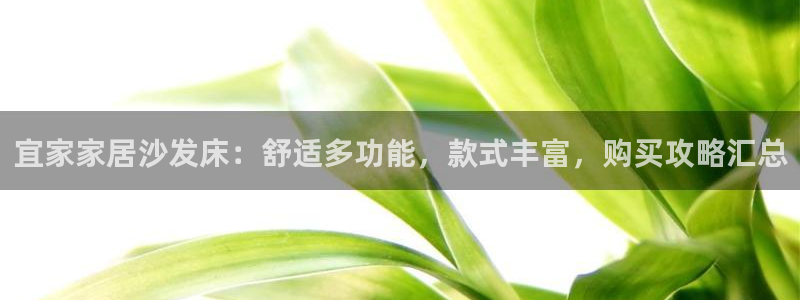 ug环球会员手机版下载官网